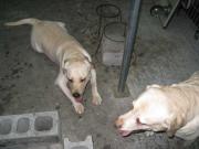 ファイル 1329-4.jpg