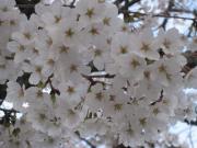 ファイル 1330-2.jpg