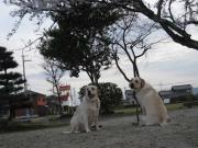 ファイル 1330-3.jpg