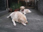 ファイル 1330-5.jpg