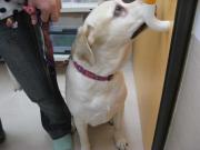 ファイル 1332-2.jpg