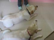 ファイル 1332-3.jpg