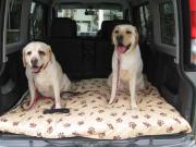 ファイル 1332-5.jpg