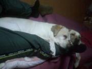 ファイル 1335-1.jpg