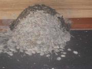 ファイル 1337-4.jpg