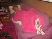 ファイル 1340-1.jpg