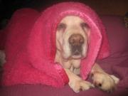 ファイル 1340-2.jpg