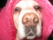 ファイル 1340-3.jpg