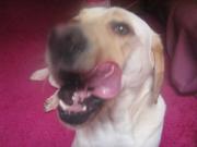 ファイル 1340-5.jpg