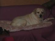 ファイル 1345-3.jpg