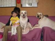 ファイル 1350-4.jpg