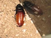 ファイル 1353-2.jpg