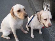 ファイル 1359-3.jpg