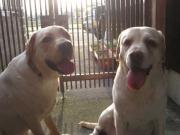 ファイル 1361-2.jpg