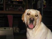 ファイル 1362-1.jpg