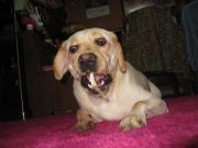 ファイル 1362-2.jpg