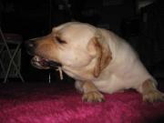 ファイル 1362-4.jpg