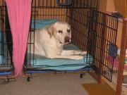 ファイル 1362-5.jpg