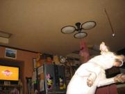 ファイル 1370-1.jpg