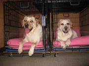 ファイル 1371-3.jpg