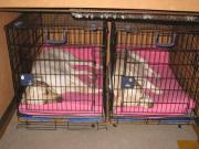 ファイル 1372-1.jpg