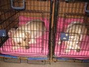 ファイル 1374-1.jpg