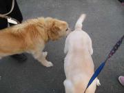 ファイル 1381-1.jpg