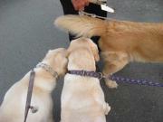 ファイル 1381-2.jpg