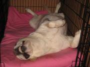 ファイル 1381-4.jpg