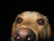 ファイル 1383-1.jpg