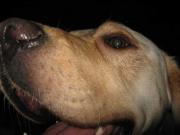 ファイル 1383-2.jpg