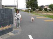 ファイル 1385-2.jpg