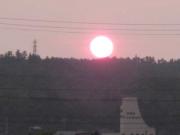 ファイル 1386-1.jpg