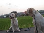 ファイル 1386-3.jpg