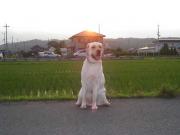 ファイル 1390-2.jpg