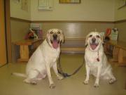 ファイル 1392-3.jpg