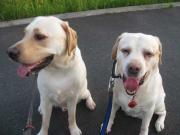 ファイル 1398-1.jpg