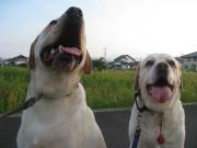 ファイル 1398-2.jpg