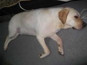 ファイル 1400-2.jpg