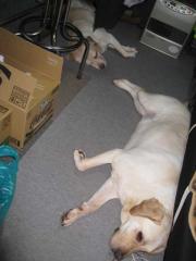 ファイル 1400-3.jpg