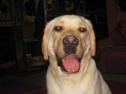 ファイル 1402-2.jpg