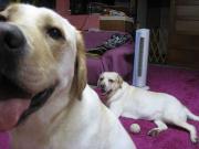 ファイル 1402-5.jpg