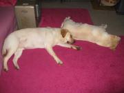 ファイル 1405-2.jpg