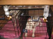 ファイル 1405-3.jpg