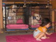 ファイル 1408-1.jpg