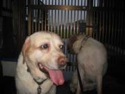 ファイル 1412-2.jpg