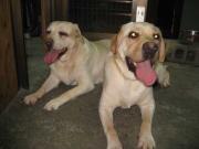 ファイル 1416-3.jpg