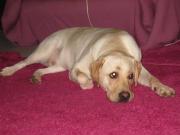 ファイル 1417-1.jpg