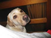 ファイル 1420-3.jpg