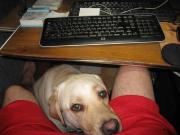 ファイル 1420-4.jpg